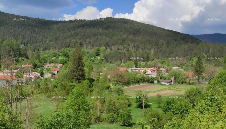 DANE, ĆIĆARIJA, Lanišće - 3 kamnite hiše v vrsti