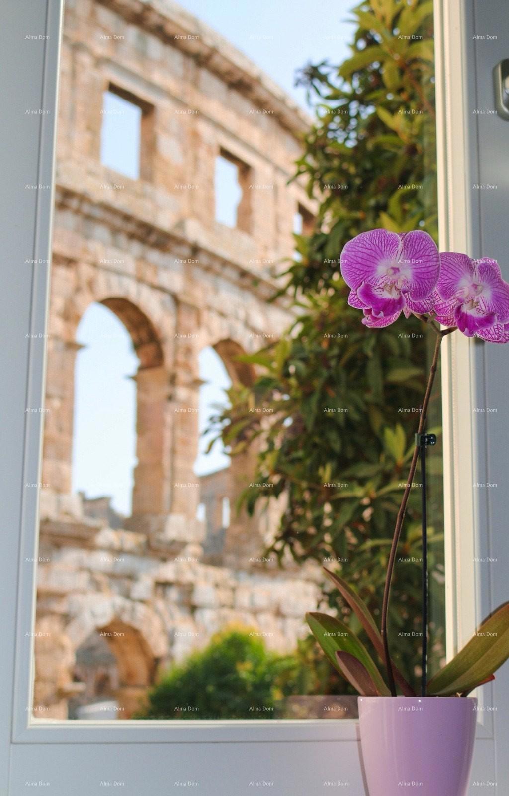 PULA – Stan s pogledom na Arenu