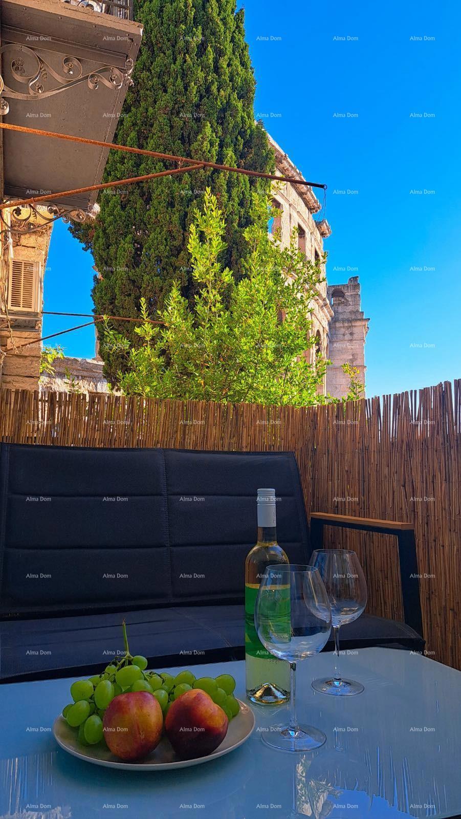 PULA – Stan s pogledom na Arenu