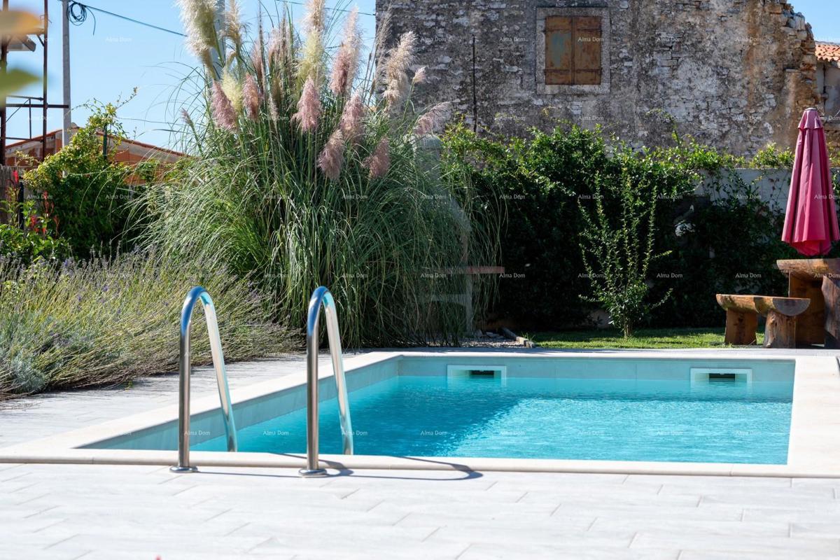 Ekskluzivna ponudba, samo v naši agenciji!