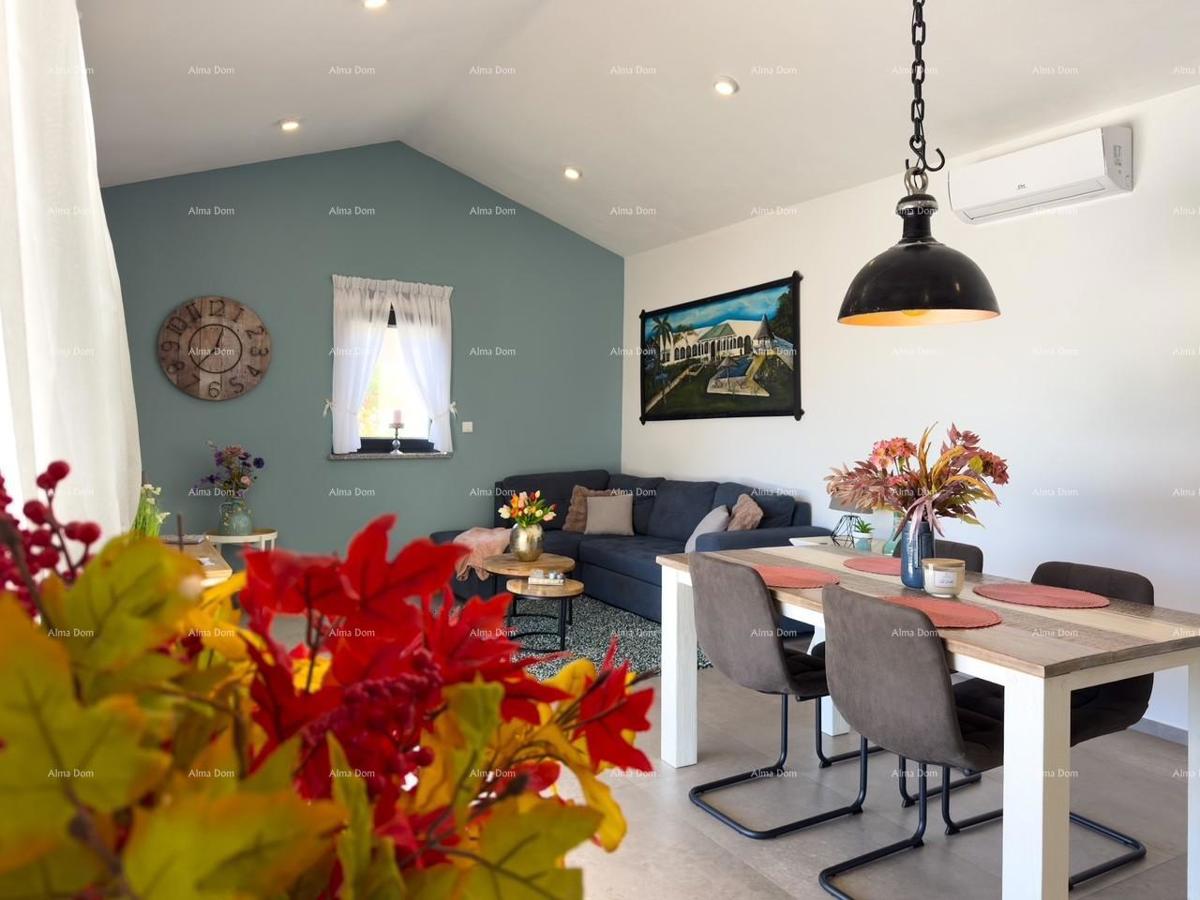 Ekskluzivna ponudba, samo v naši agenciji!