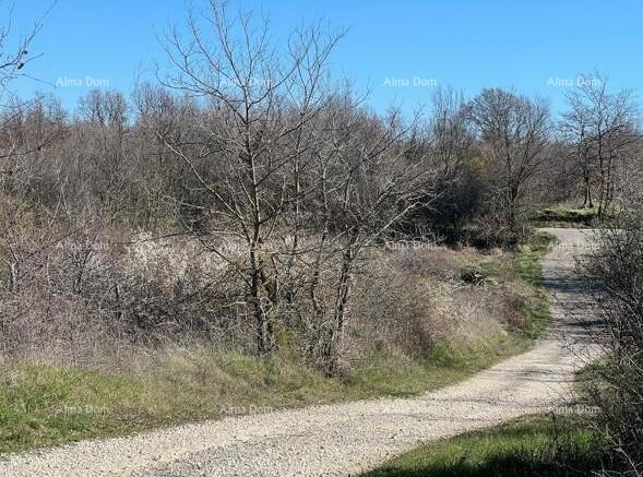 Prodaja - gradbeno zemljišče s dovoljenjem, gradnja se lahko začne takoj! Kanfanar!