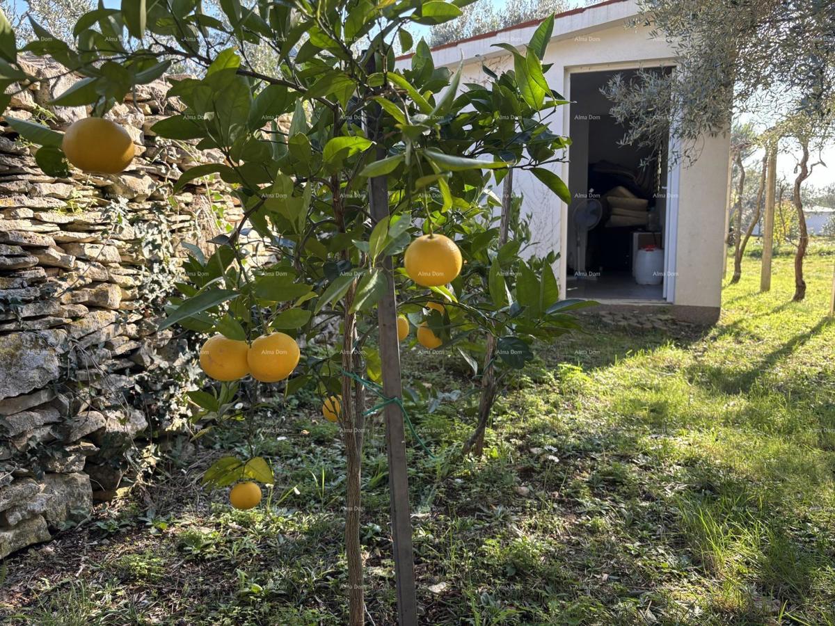 Idilična vikendica v Fažani, blizu morja – popoln kraj za pobeg od mestnega vrveža!