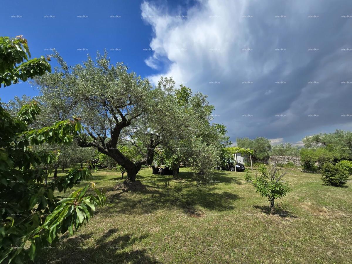 Idilična vikendica v Fažani, blizu morja – popoln kraj za pobeg od mestnega vrveža!
