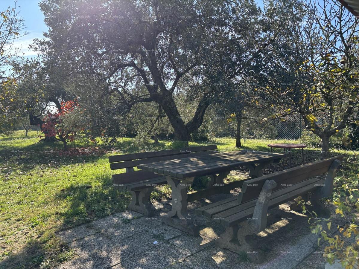 Idilična vikendica v Fažani, blizu morja – popoln kraj za pobeg od mestnega vrveža!