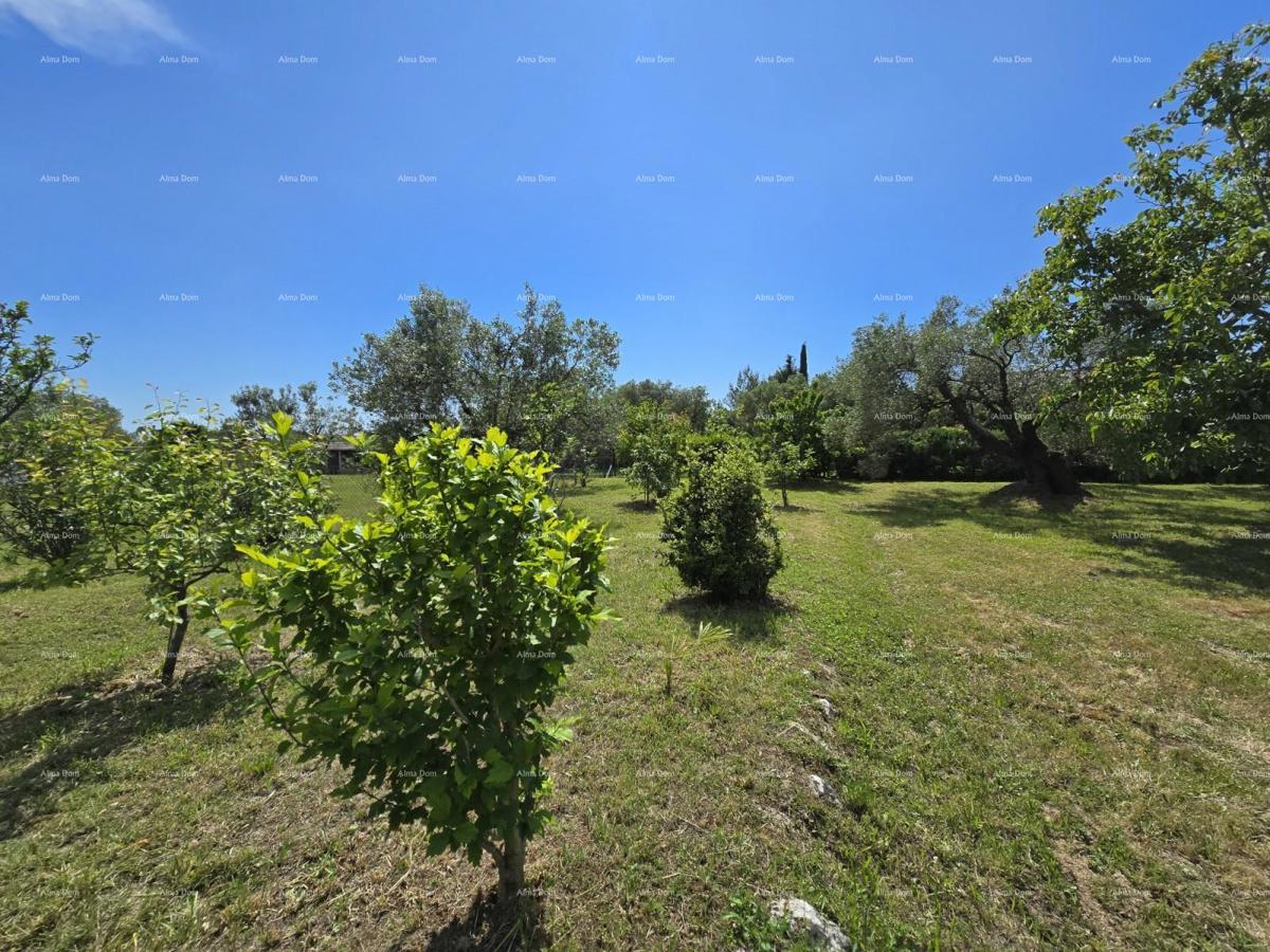 Idilična vikendica v Fažani, blizu morja – popoln kraj za pobeg od mestnega vrveža!