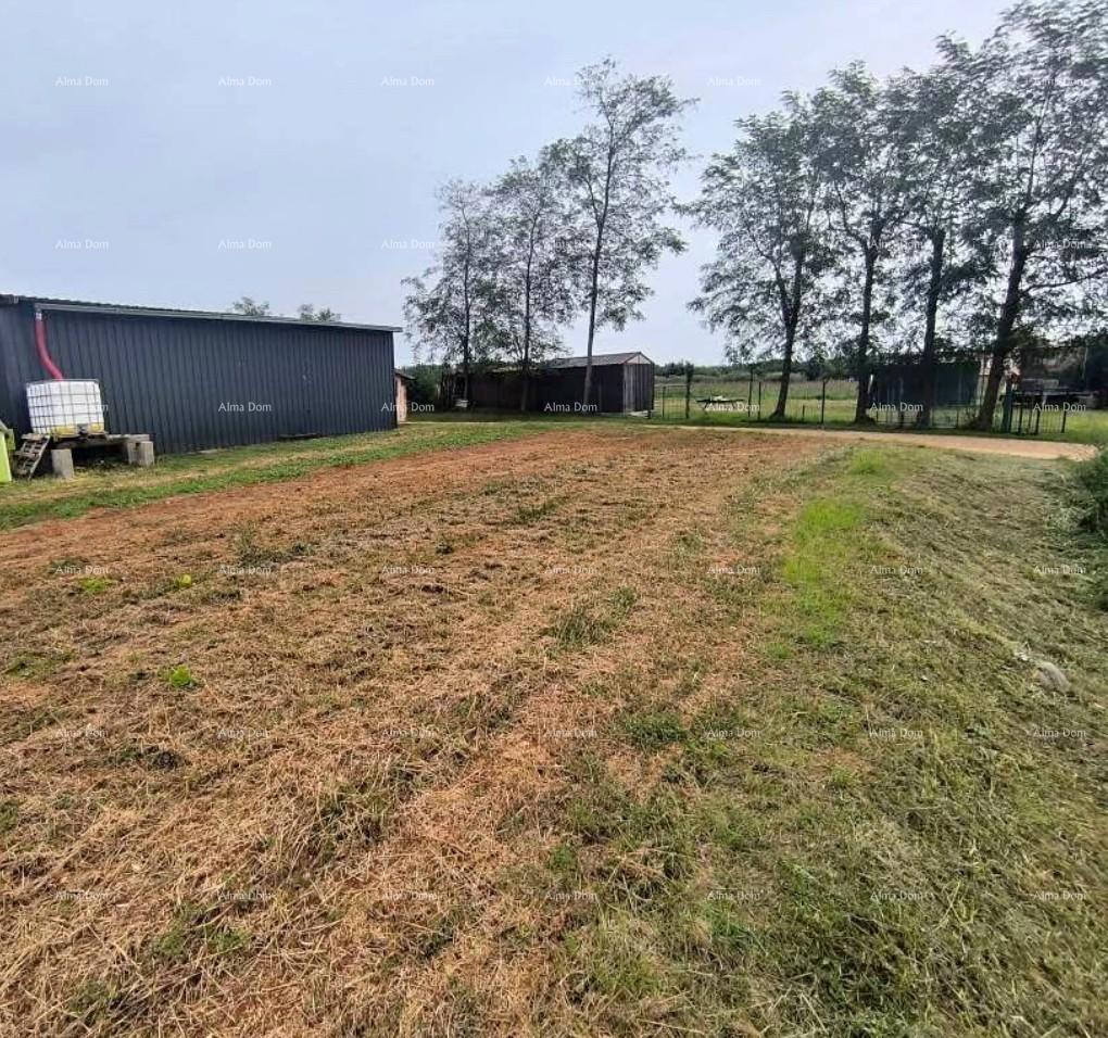 Prodaja - gradbeno zemljišče z idejnim projektom v bližini Karigadora, Brtonigla!