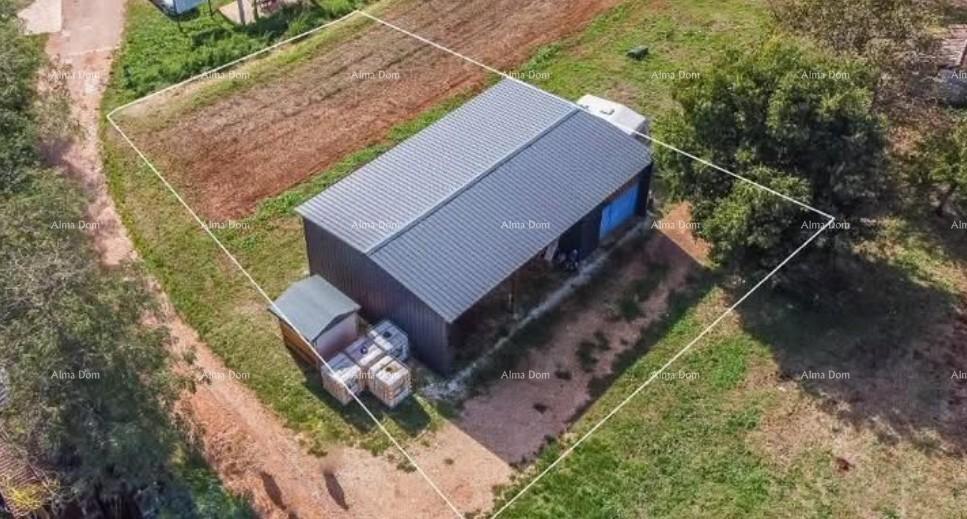 Prodaja - gradbeno zemljišče z idejnim projektom v bližini Karigadora, Brtonigla!