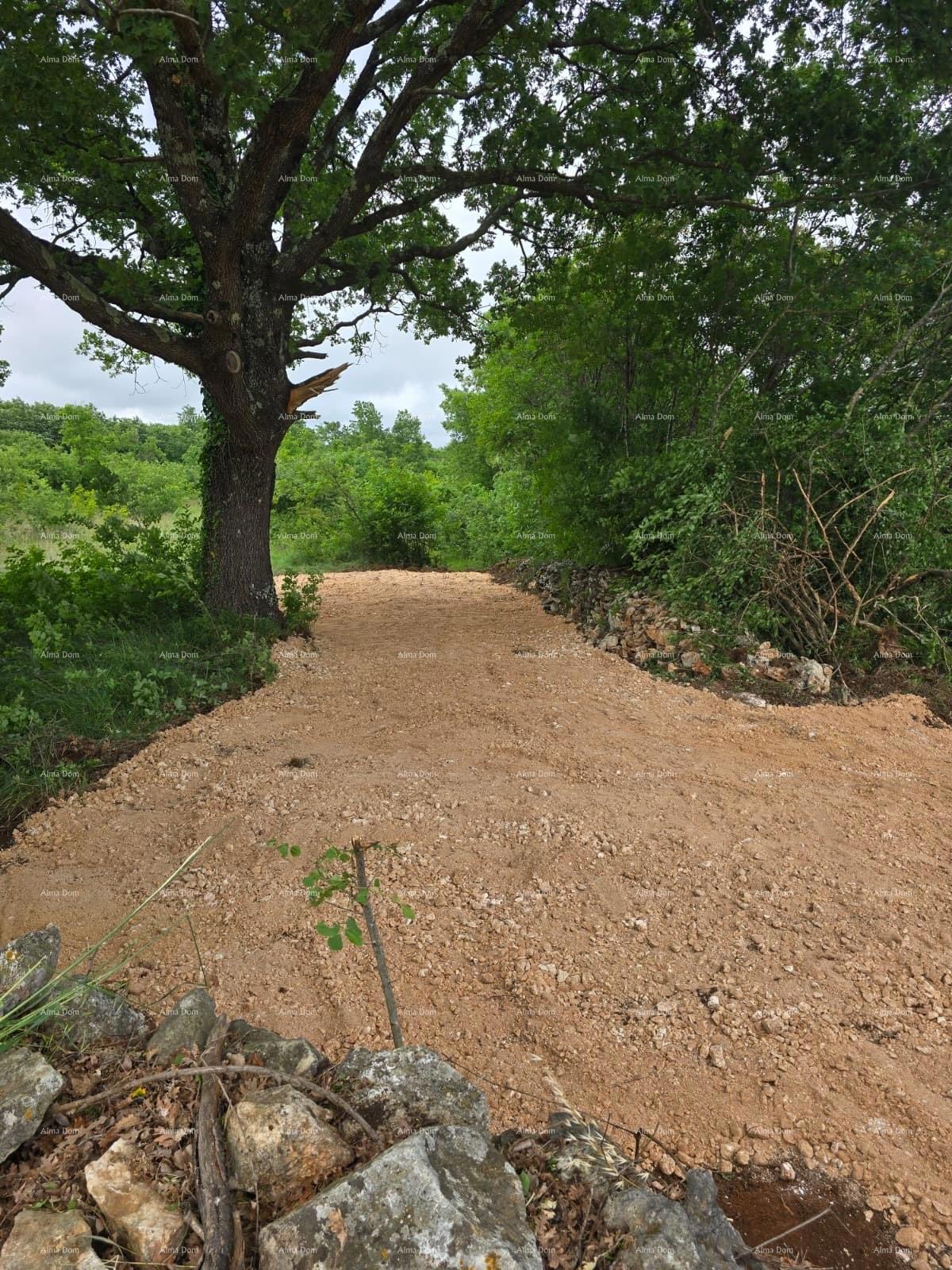 PRODAJA – Građevinsko zemljišče z gradbenim dovoljenjem in projektom hiše s bazenom, Marčana!