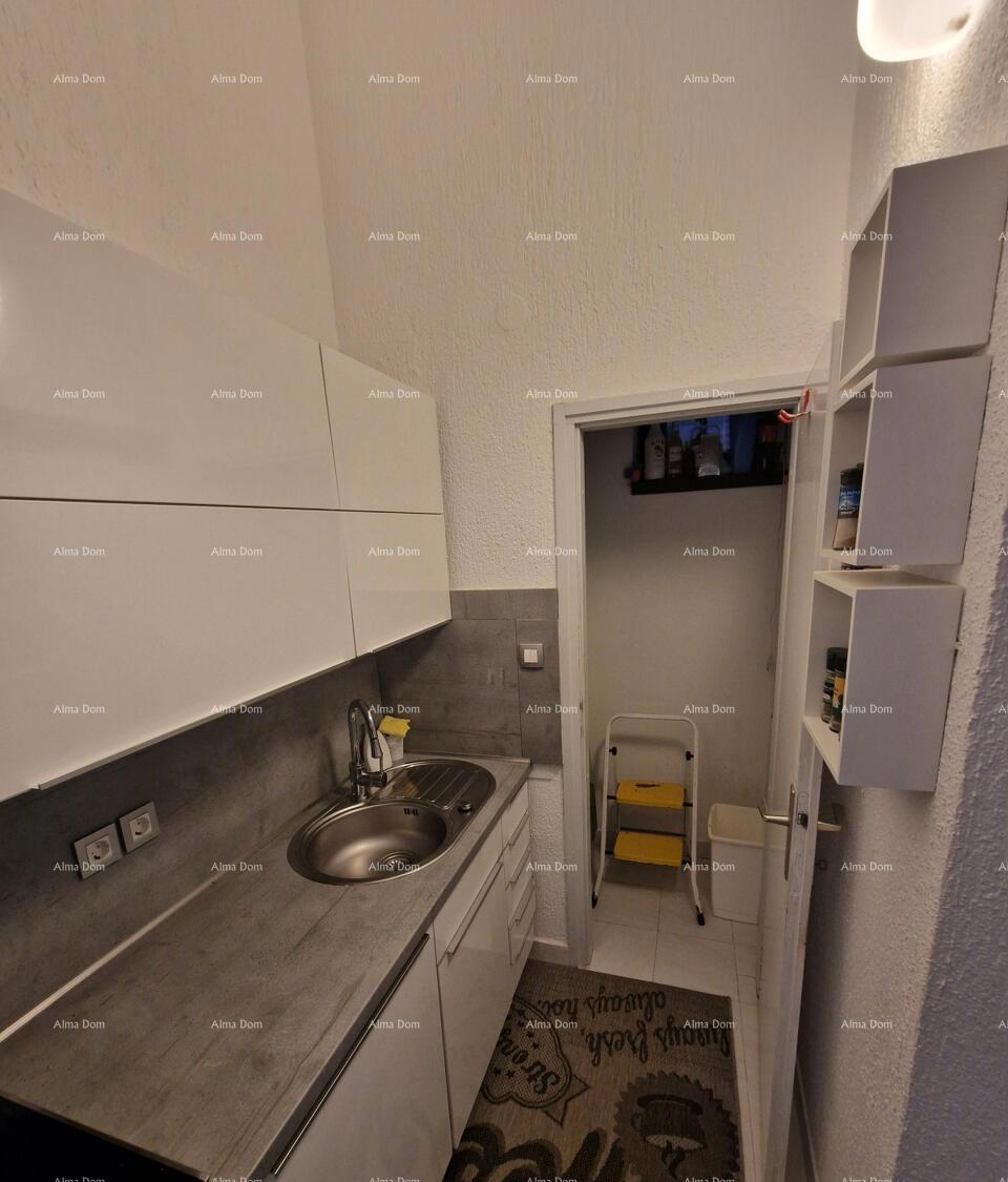 The translation of the title