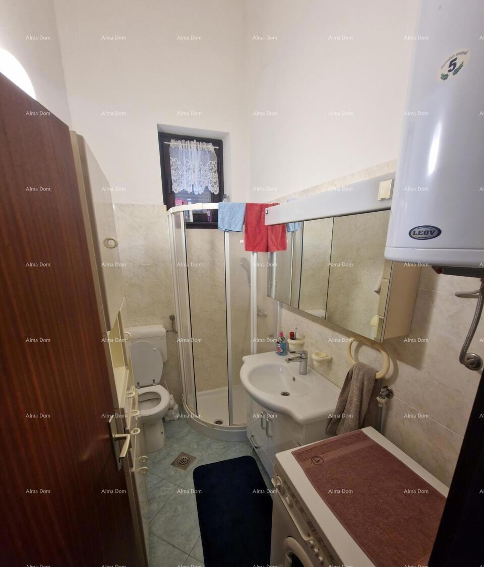 The translation of the title