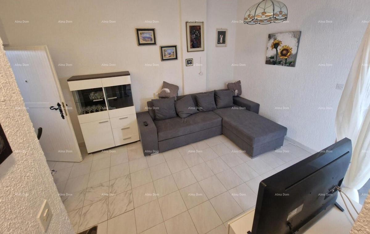 The translation of the title