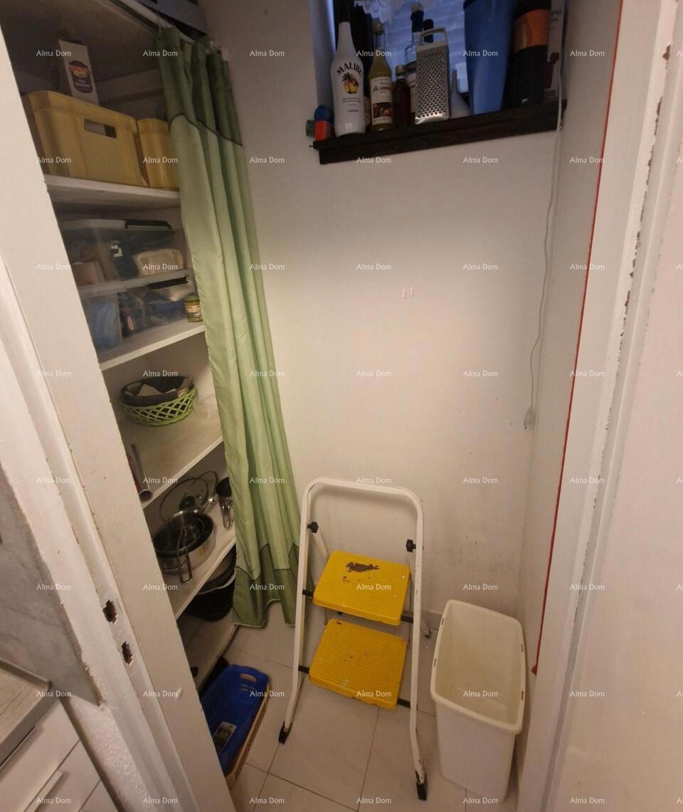 The translation of the title