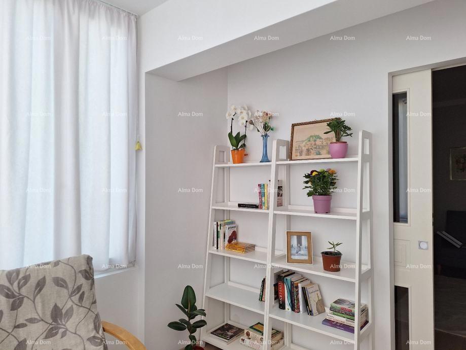 UMAG – stan v centru, 300 m od morja