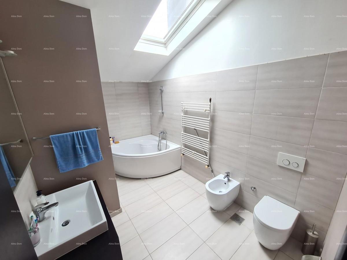 Pula Šišan.  Hiša s poslovnimi prostori!