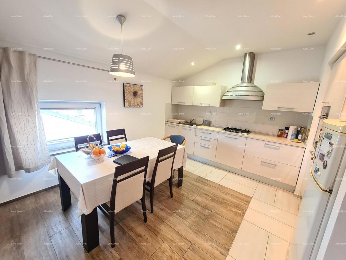 Pula Šišan.  Hiša s poslovnimi prostori!