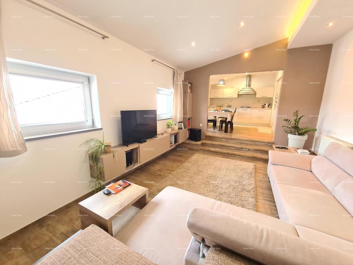 Pula Šišan.  Hiša s poslovnimi prostori!