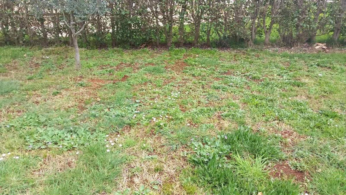 Gradbeno zemljišče Peroj