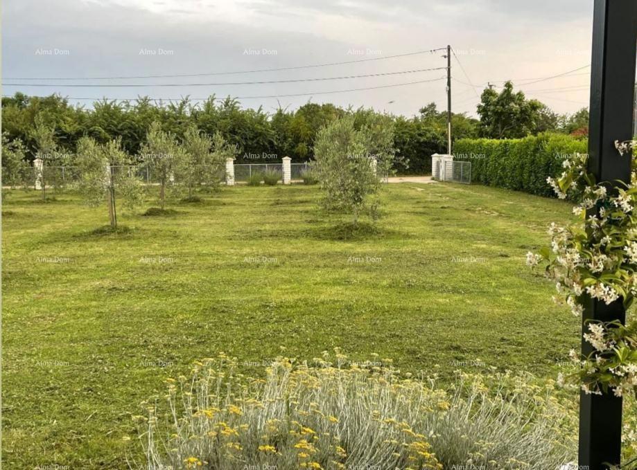 Radeki Glavica, Loborika – Hiša z gradbenim zemljiščem, oljčnikom in sadovnjakom