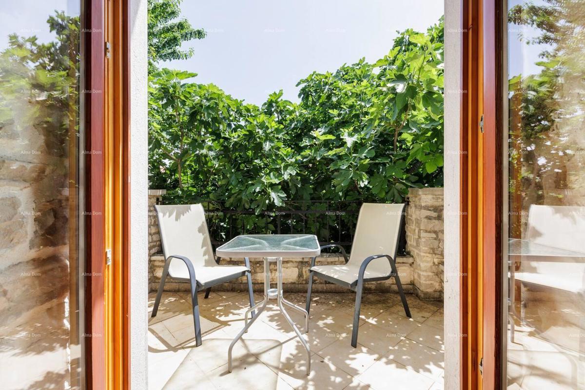 Marčana. Dve kamniti hiši z bazenom.