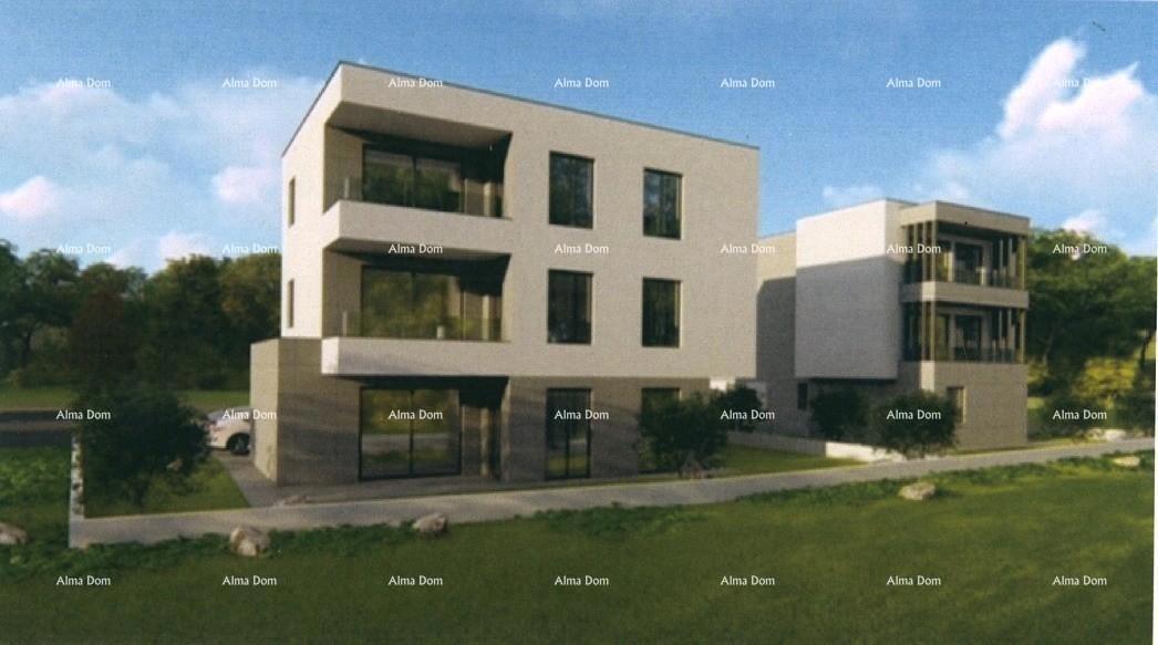 The translation of the title