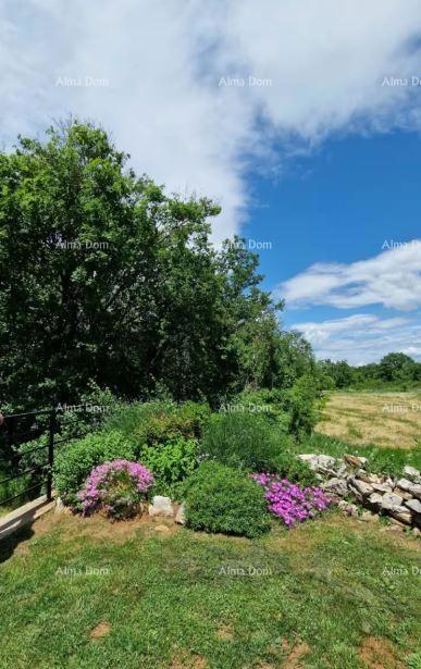 Prenovljena kamnita istrska hiša z bazenom