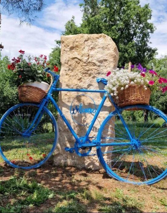 Prenovljena kamnita istrska hiša z bazenom