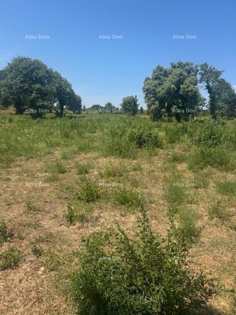 Zemljišče 4000 m² v Ližnjanu, T2 območje