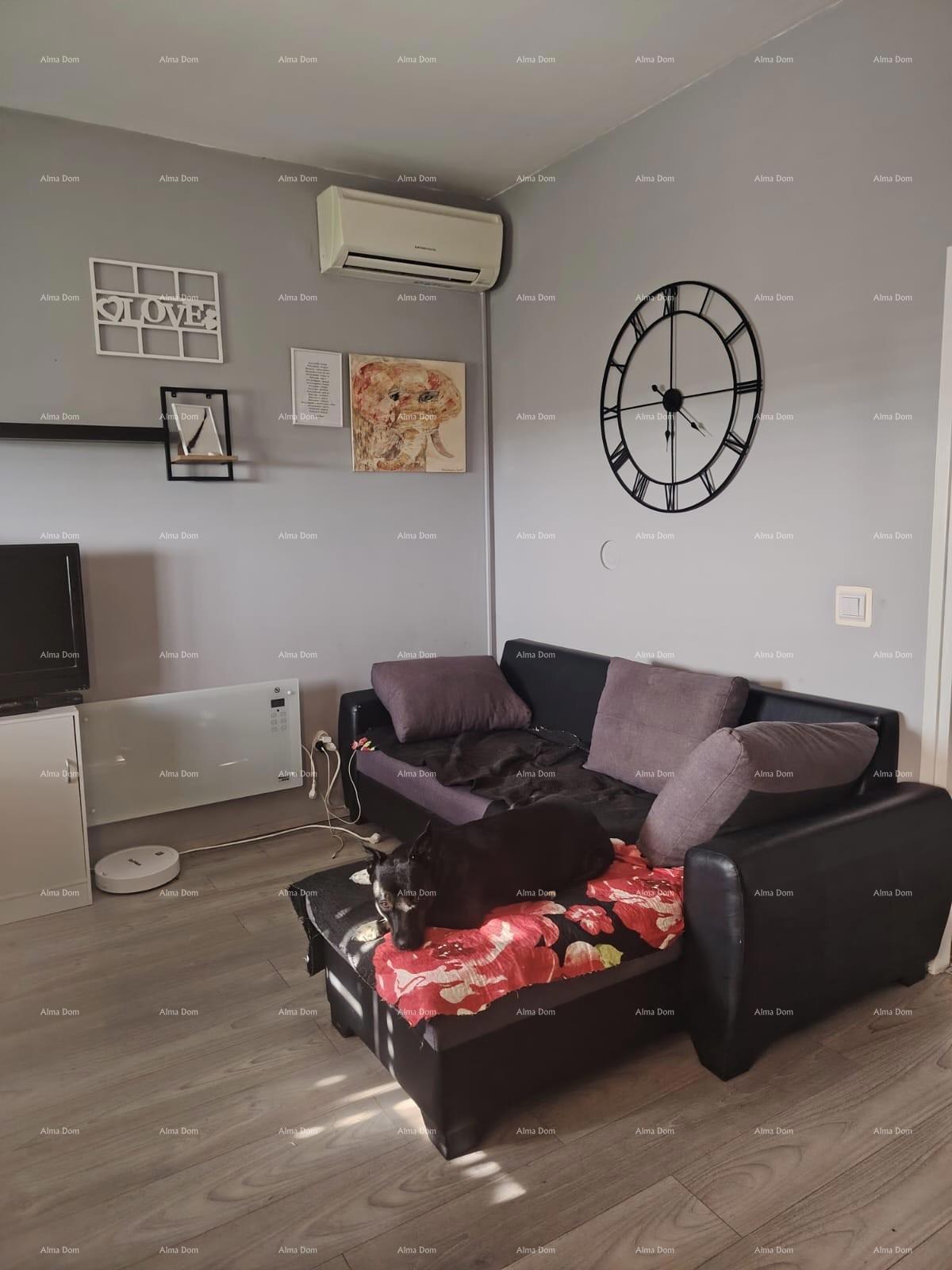 PEROJ – STANOVANJE NA 1. NADSTROPJU