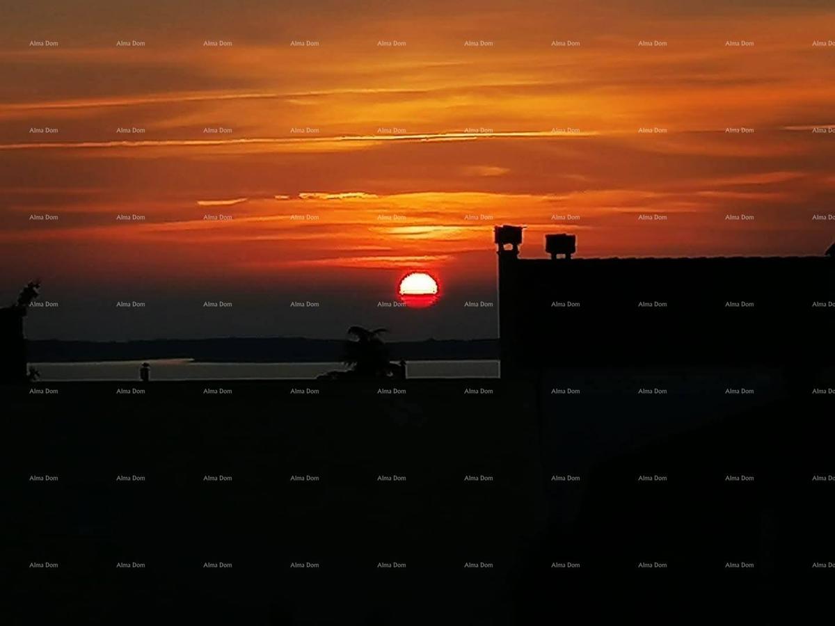 PEROJ – STANOVANJE NA 1. NADSTROPJU