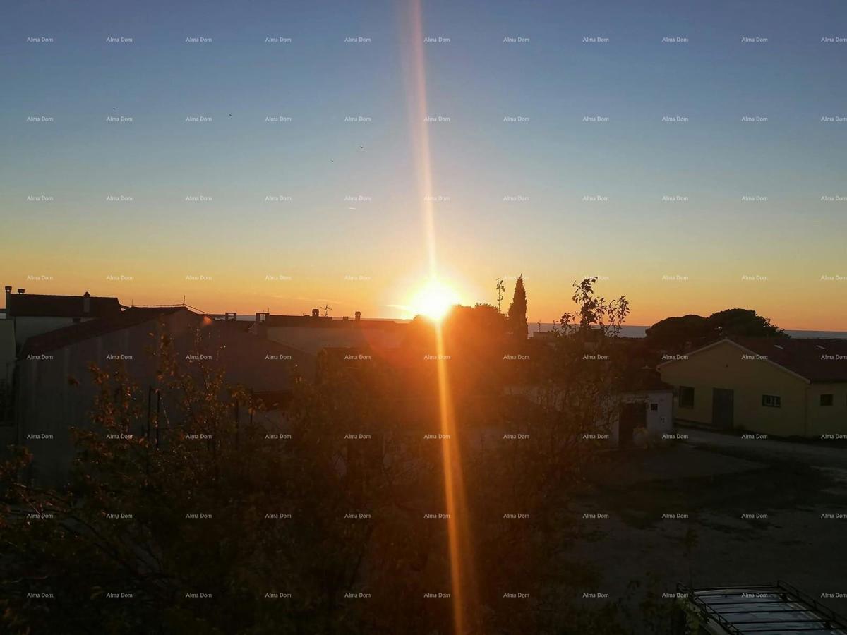 PEROJ – STANOVANJE NA 1. NADSTROPJU