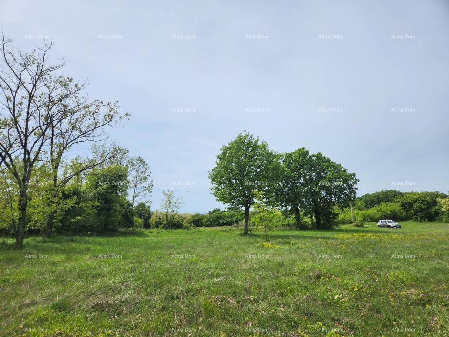 POREČ - Na prodaj je gradbeno zemljišče, 12000m2