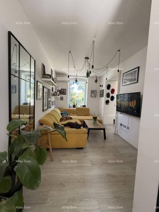 Pula, hiša z dvoriščem in pomožno zgradbo