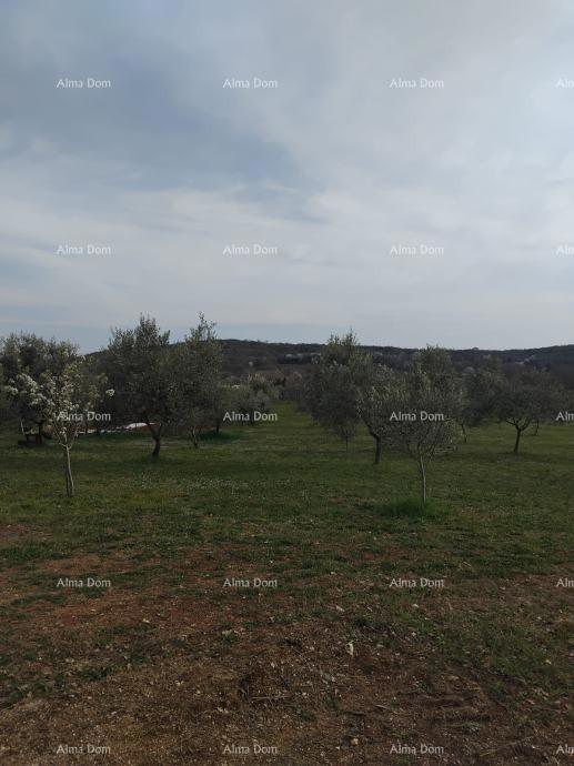 Atraktivno zemljišče, 5.716 m²,  okolica Poreča