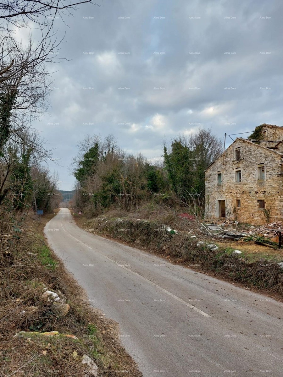 Tri ruševne hiše v okolici Oprtlja