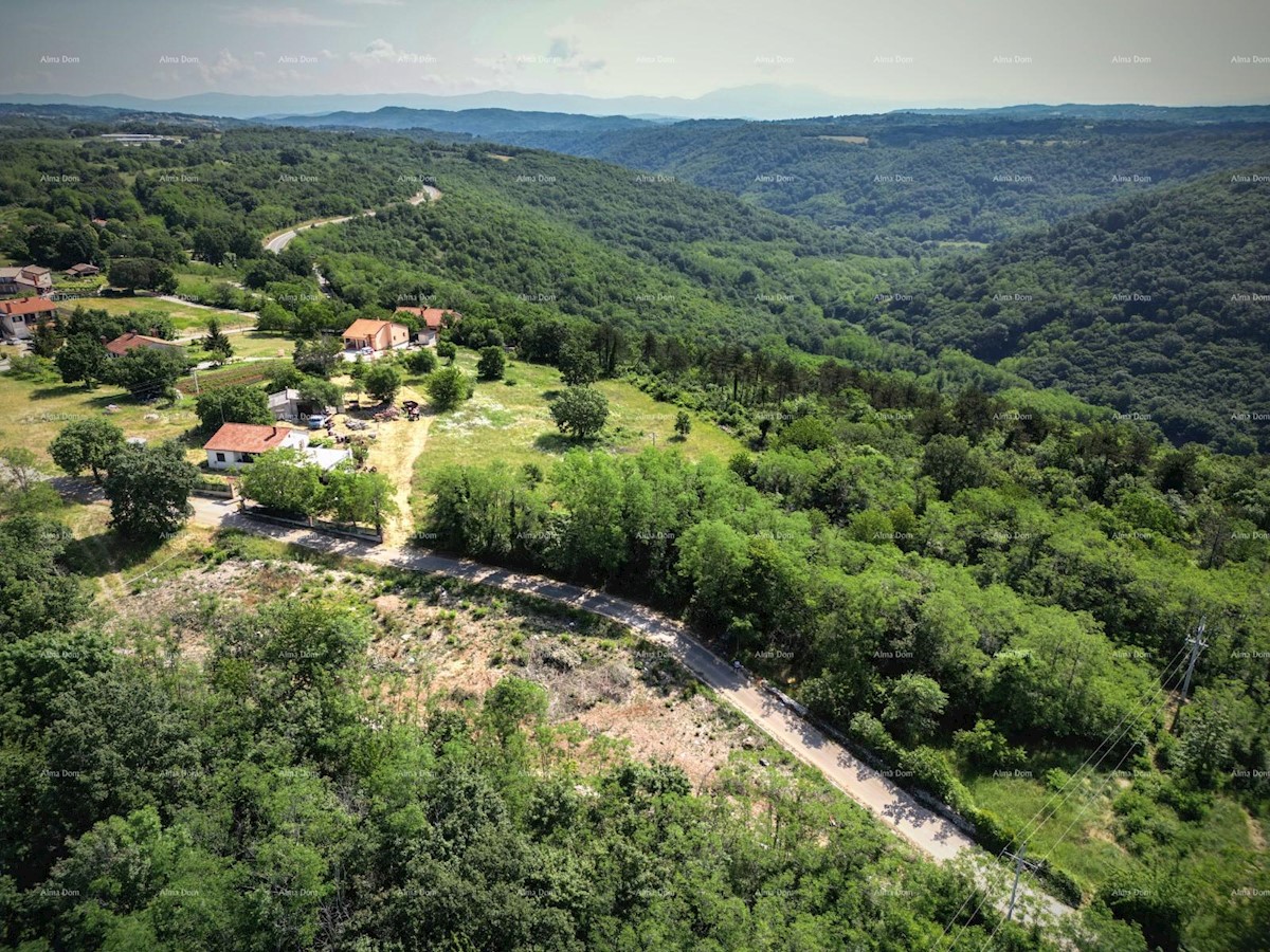 Prodaja gradbenega zemljišča s projektom za gradnjo vile, blizu Tinjana!