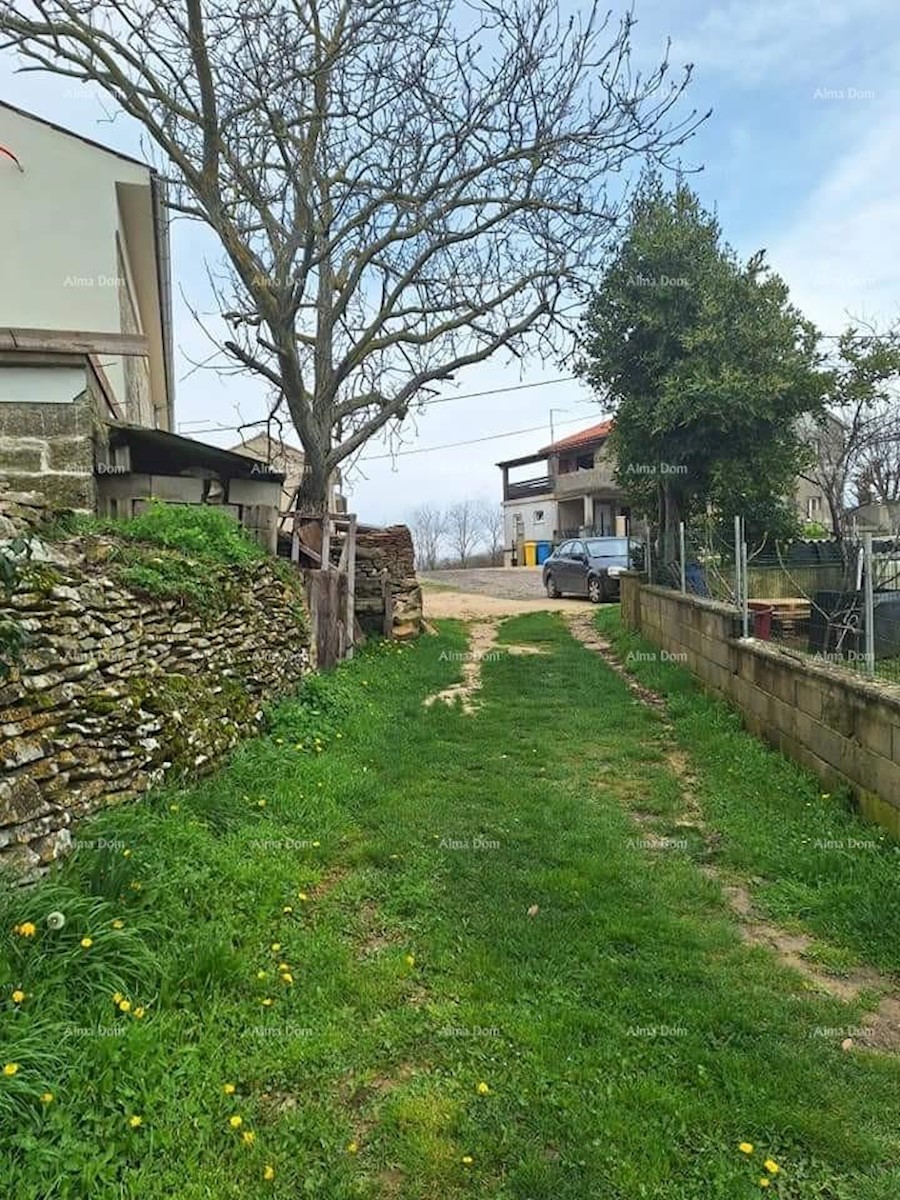 Prodamo gradbeno in kmetijsko zemljišče, okolica Žminja