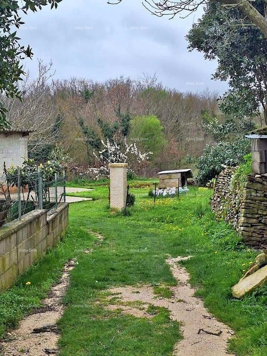 Prodamo gradbeno in kmetijsko zemljišče, okolica Žminja