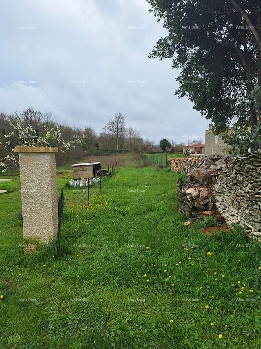 Prodamo gradbeno in kmetijsko zemljišče, okolica Žminja