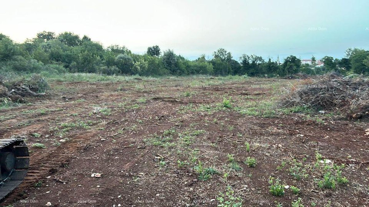 Prodamo zazidljivo zemljišče 4300m2 v industrijsko-poslovni coni Šišen