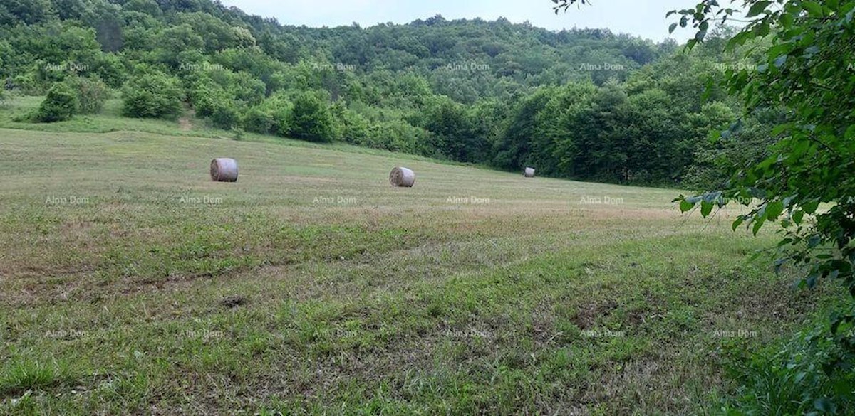 Prodamo veliko nepremičnino v osrednji Istri, Pazin!