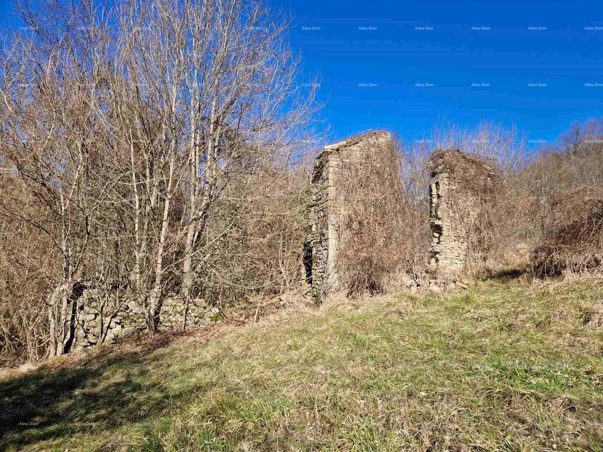 Prodamo veliko nepremičnino v osrednji Istri, Pazin!