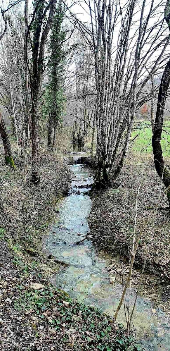 Prodamo veliko nepremičnino v osrednji Istri, Pazin!