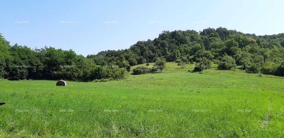 Prodamo veliko nepremičnino v osrednji Istri, Pazin!