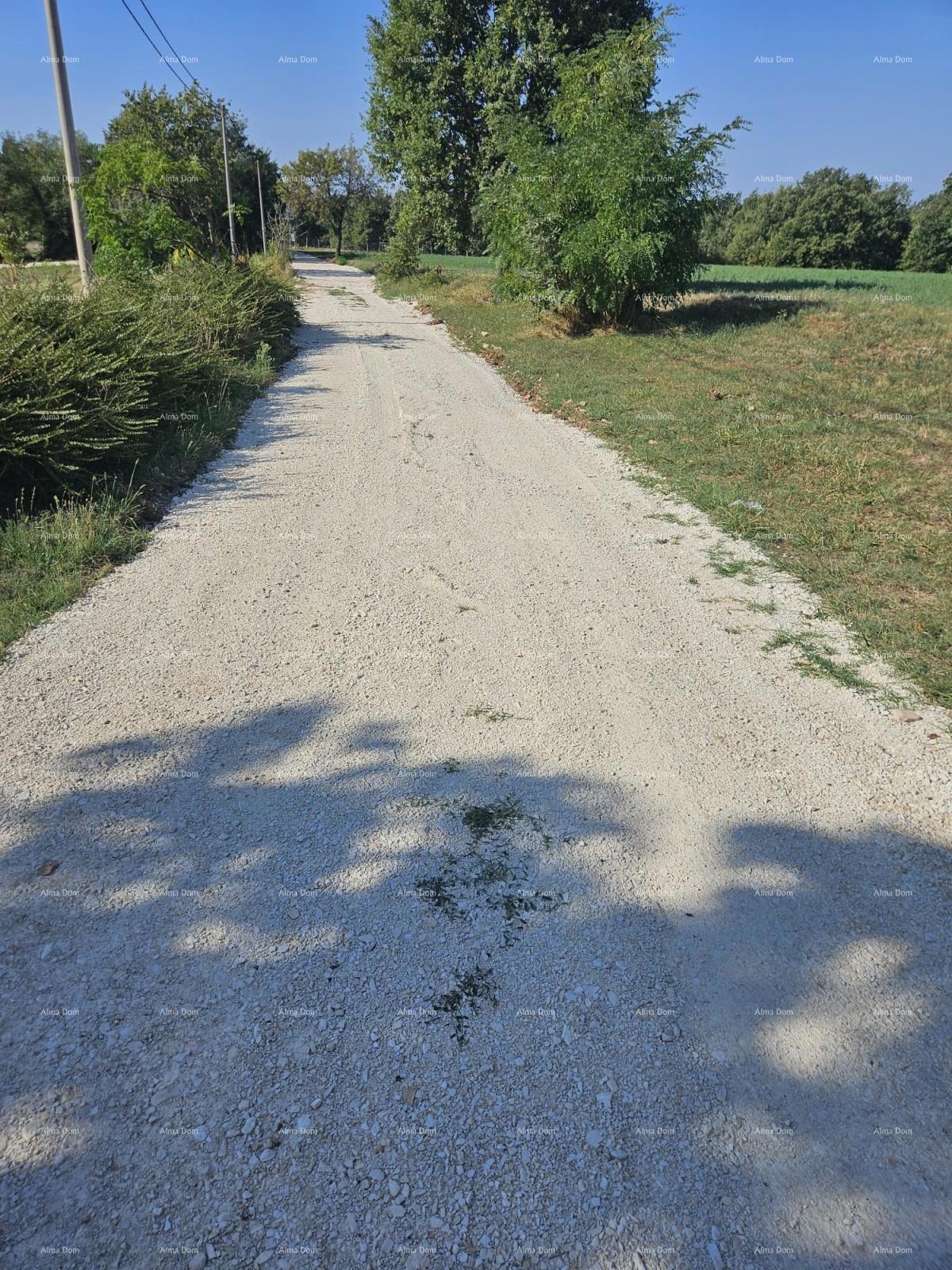 Gradbeno zemljišče Žminj