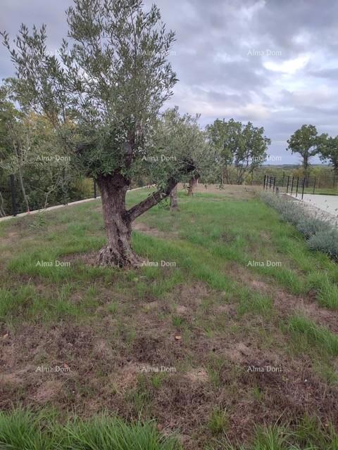 Čudovita luksuzna vila v Labinu