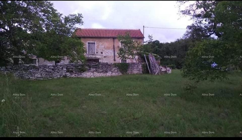 Prodamo istrsko kamnito hišo, Oprtalj