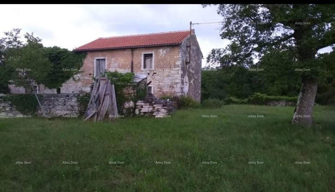 Prodamo istrsko kamnito hišo, Oprtalj