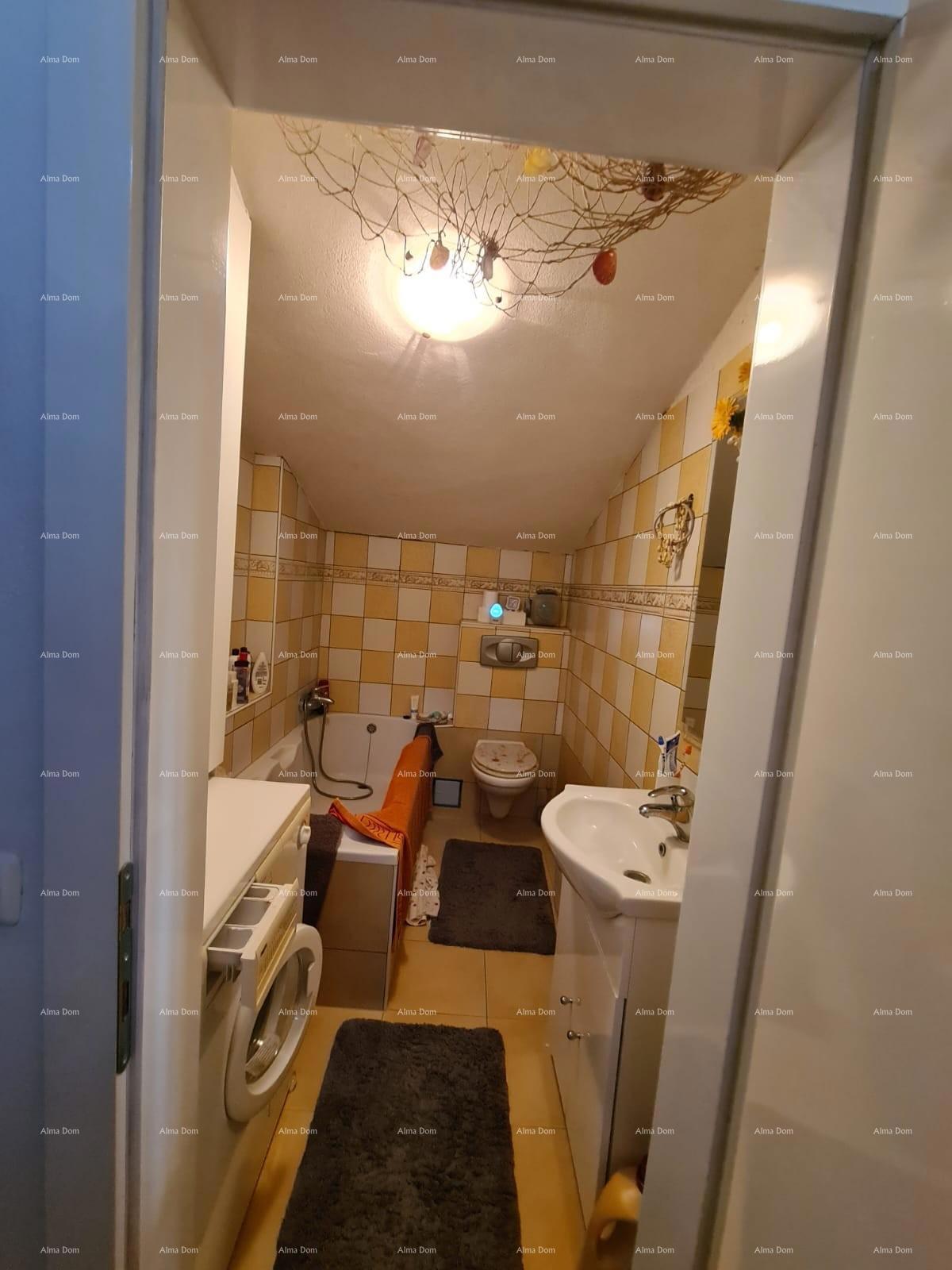 Ližnjan – Hiša z apartmaji in bazenom, 460 m².