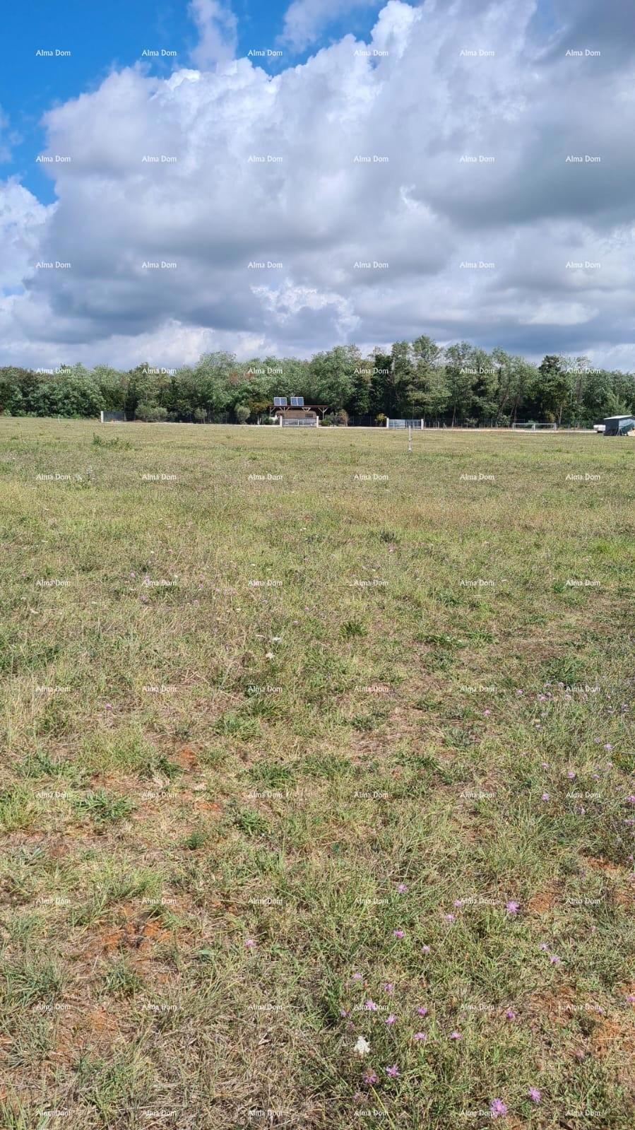 Građevinsko zemljišče 978 m², Loborika!